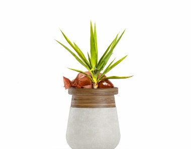 Nunca mais deixe as suas plantas � seca!