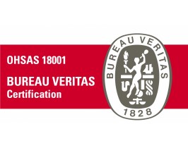 Norma OHSAS 18001:2007 Norma OHSAS 18001:2007